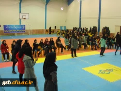 جشنواره ورزش های بومی همگانی