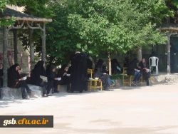 هفته ی خوابگاه ها