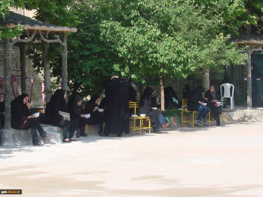 هفته ی خوابگاه ها