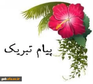 افتخار آفرینان رتبه کشوری ، دانشجو معلمان طیبه صادقی و فائقه دهنوی