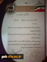 افتخار آفرینی دانشجو معلم طیبه صادقی به عنوان پژوهشگر برتر