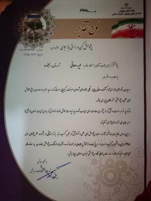 افتخار آفرینی دانشجو معلم طیبه صادقی به عنوان پژوهشگر برتر