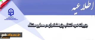 جزییات نحوه انتخاب پژوهشگران در سطوح مختلف