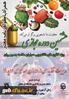 پوستر هشتمین دوره همیاران